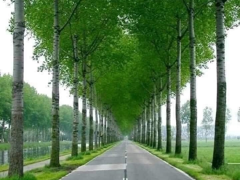 Ban chấp hành công đoàn nhà máy