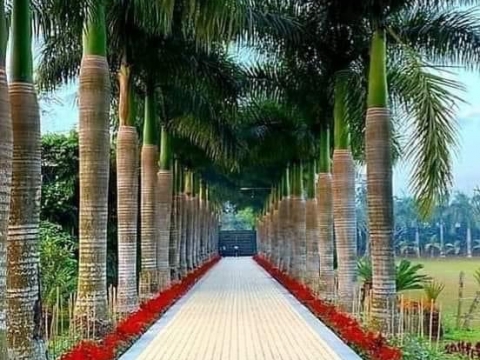 Ban chấp hành công đoàn nhà máy